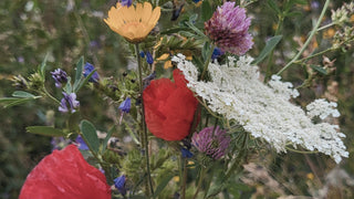 Umweltschutz bei LOVJOI: Engagiert für die Artenvielfalt