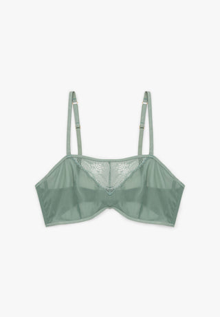 BRA EVENING PRIMROSE