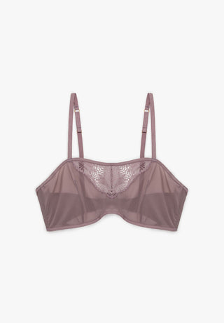 BRA EVENING PRIMROSE